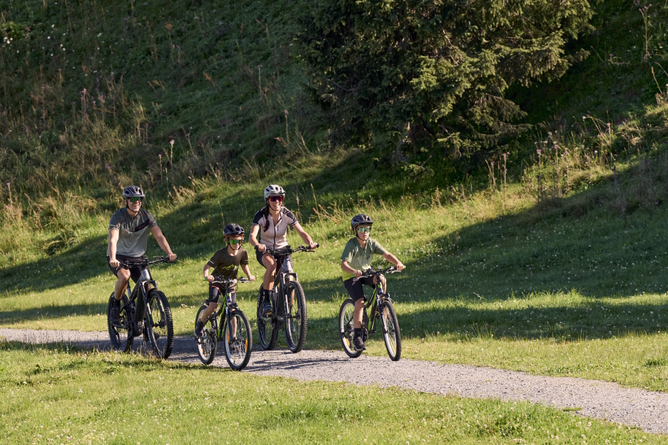 A family of four, wearing helmets, rides bicycles on a sunny day through a lush, green park with tall trees and grass, evoking happiness and togetherness.
