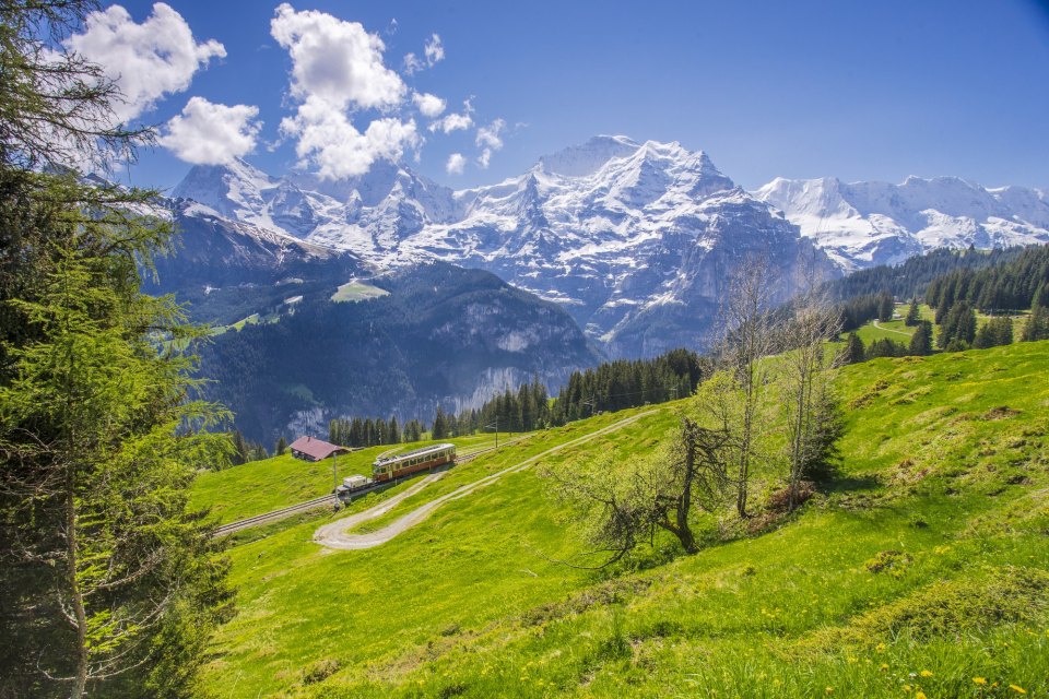 A scenic view of a lush green hillside with a train on a winding track. Snow-capped mountains rise in the background under a bright blue sky.