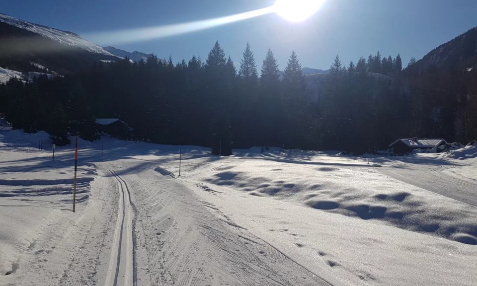 Snowy landscape with a sunlit sky, featuring ski tracks leading through fresh snow, surrounded by dark evergreen trees and mountains in the background.