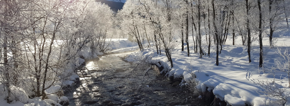 Eine ruhige Winterszene mit einem Fluss, der durch eine verschneite Landschaft fließt, gesäumt von frostbedeckten Bäumen, unter einem klaren blauen Himmel.