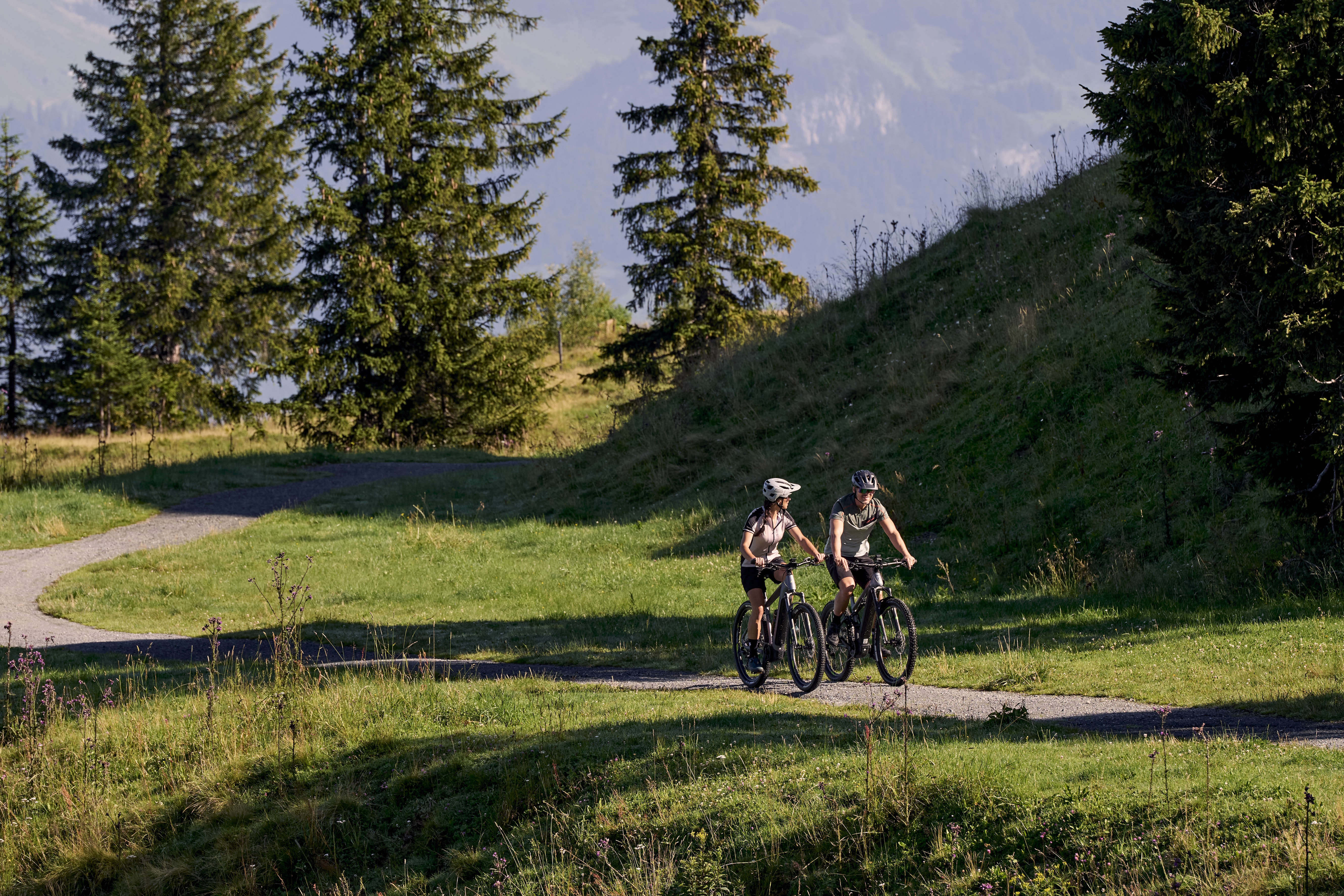 Zwei Radfahrer fahren einen gewundenen Weg hinauf, der durch eine üppige, sonnenbeschienene Almwiese mit Kiefern führt. Die Szene ist ruhig und abenteuerlich zugleich und weckt das Gefühl, auf Entdeckungsreise zu sein.