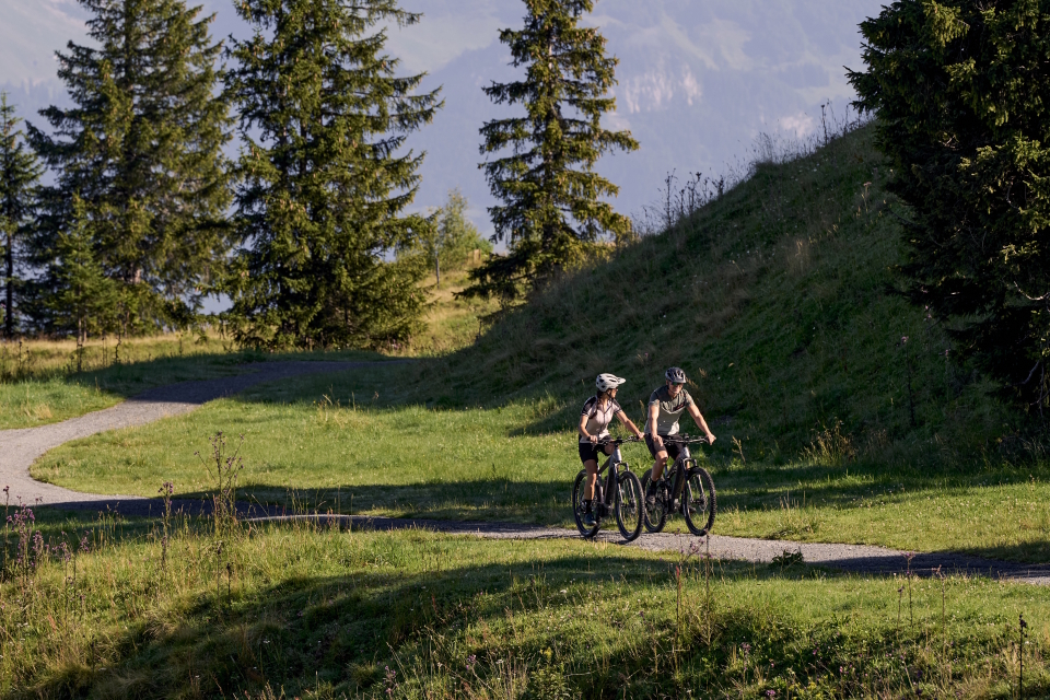 Two cyclists ascend a winding path through a lush, sunlit alpine meadow with pine trees. The scene is serene and adventurous, evoking a sense of exploration.